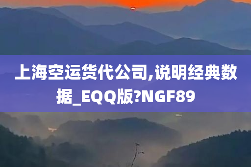 上海空运货代公司,说明经典数据_EQQ版?NGF89