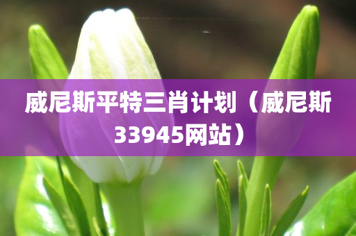 威尼斯平特三肖计划（威尼斯33945网站）