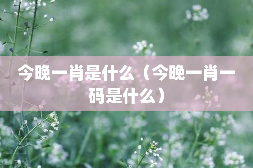 今晚一肖是什么（今晚一肖一码是什么）