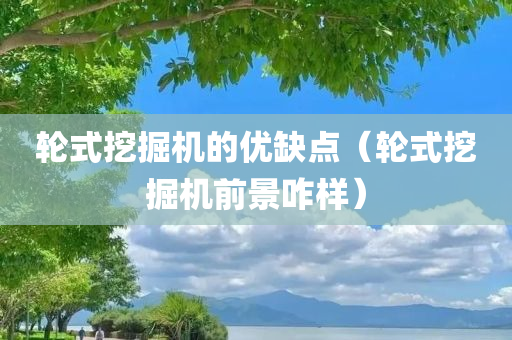 轮式挖掘机的优缺点（轮式挖掘机前景咋样）