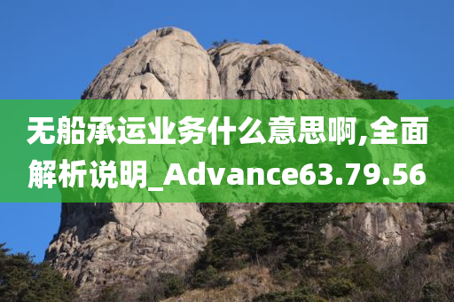 无船承运业务什么意思啊,全面解析说明_Advance63.79.56