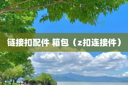 链接扣配件 箱包（z扣连接件）