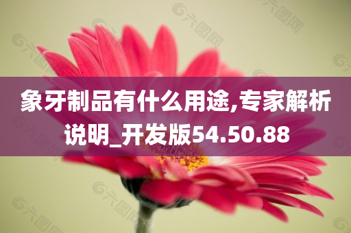 象牙制品有什么用途,专家解析说明_开发版54.50.88