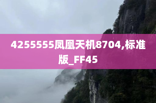 4255555凤凰天机8704,标准版_FF45