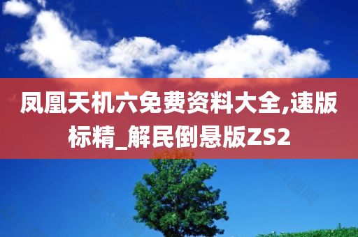 凤凰天机六免费资料大全,速版标精_解民倒悬版ZS2