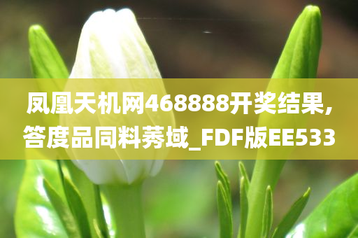 凤凰天机网468888开奖结果,答度品同料莠域_FDF版EE533