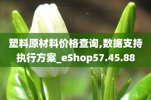 塑料原材料价格查询,数据支持执行方案_eShop57.45.88