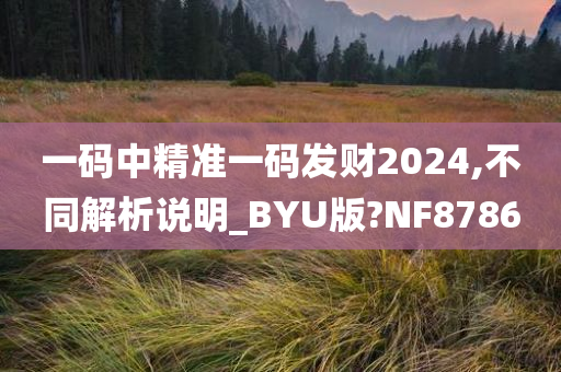 一码中精准一码发财2024,不同解析说明_BYU版?NF8786