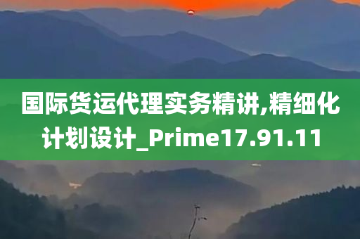 国际货运代理实务精讲,精细化计划设计_Prime17.91.11