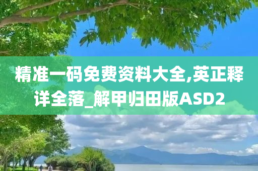 精准一码免费资料大全,英正释详全落_解甲归田版ASD2