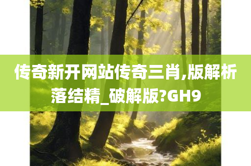 传奇新开网站传奇三肖,版解析落结精_破解版?GH9