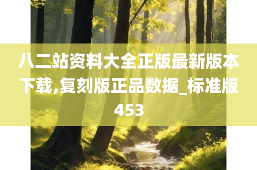 八二站资料大全正版最新版本下载,复刻版正品数据_标准版453