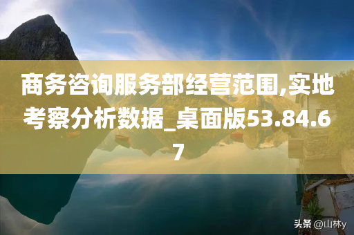 商务咨询服务部经营范围,实地考察分析数据_桌面版53.84.67