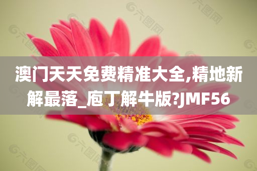 澳门天天免费精准大全,精地新解最落_庖丁解牛版?JMF56