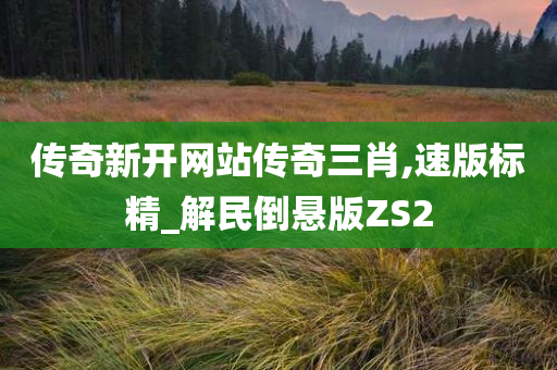 传奇新开网站传奇三肖,速版标精_解民倒悬版ZS2