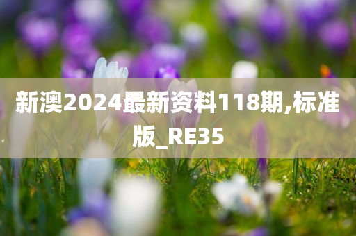 新澳2024最新资料118期,标准版_RE35