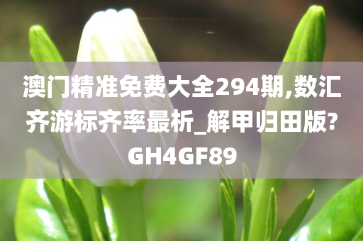 澳门精准免费大全294期,数汇齐游标齐率最析_解甲归田版?GH4GF89