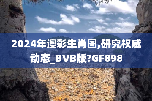 2024年澳彩生肖图,研究权威动态_BVB版?GF898