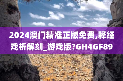 2024澳门精准正版免费,释经戏析解刻_游戏版?GH4GF89