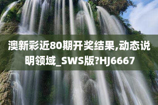 澳新彩近80期开奖结果,动态说明领域_SWS版?HJ6667