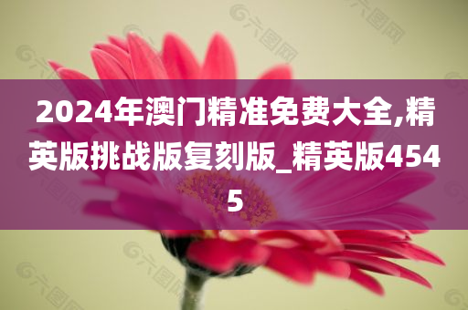 2024年澳门精准免费大全,精英版挑战版复刻版_精英版4545