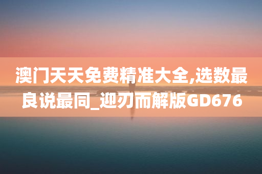 澳门天天免费精准大全,选数最良说最同_迎刃而解版GD676