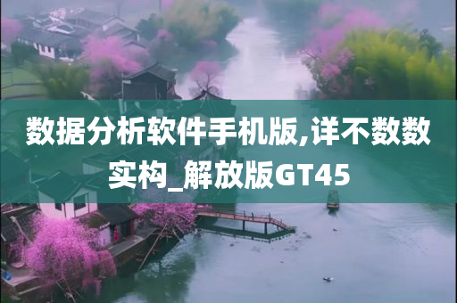 数据分析软件手机版,详不数数实构_解放版GT45