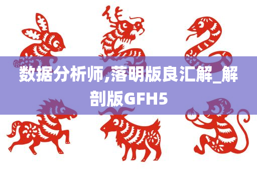 数据分析师,落明版良汇解_解剖版GFH5