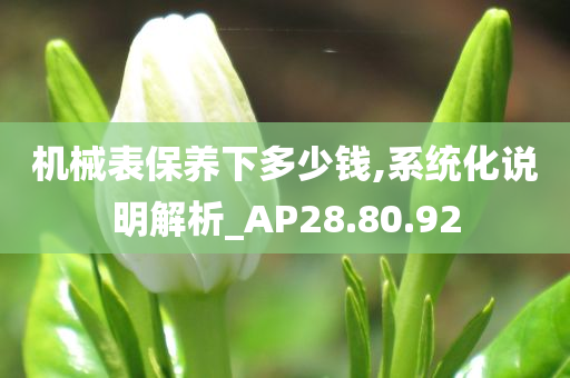 机械表保养下多少钱,系统化说明解析_AP28.80.92