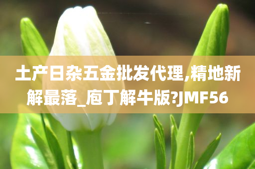 土产日杂五金批发代理,精地新解最落_庖丁解牛版?JMF56