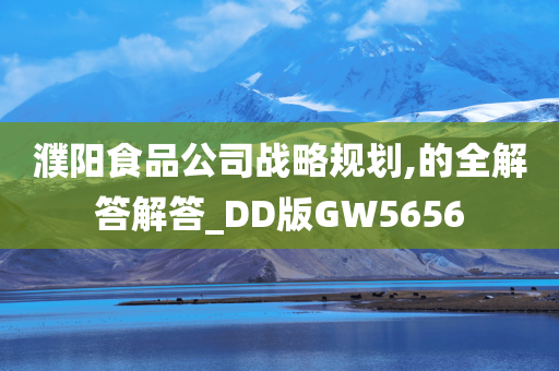 濮阳食品公司战略规划,的全解答解答_DD版GW5656