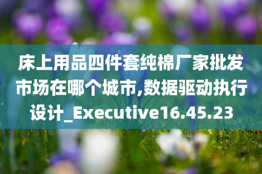 床上用品四件套纯棉厂家批发市场在哪个城市,数据驱动执行设计_Executive16.45.23