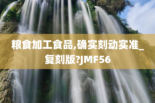 粮食加工食品,确实刻动实准_复刻版?JMF56