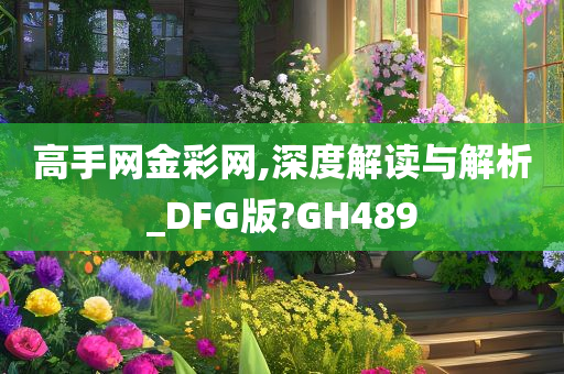 高手网金彩网,深度解读与解析_DFG版?GH489