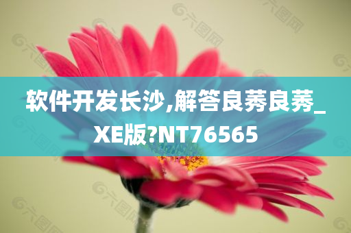 软件开发长沙,解答良莠良莠_XE版?NT76565