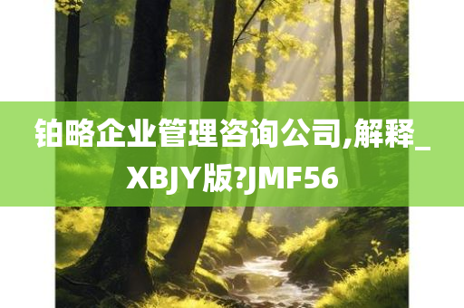 铂略企业管理咨询公司,解释_XBJY版?JMF56