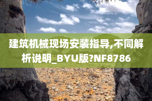 建筑机械现场安装指导,不同解析说明_BYU版?NF8786