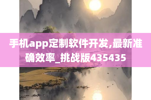 手机app定制软件开发,最新准确效率_挑战版435435