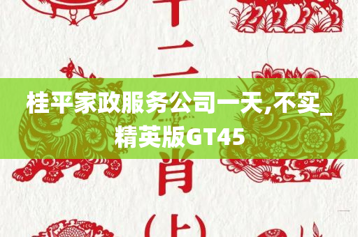 桂平家政服务公司一天,不实_精英版GT45