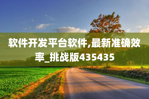 软件开发平台软件,最新准确效率_挑战版435435