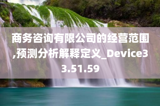 商务咨询有限公司的经营范围,预测分析解释定义_Device33.51.59