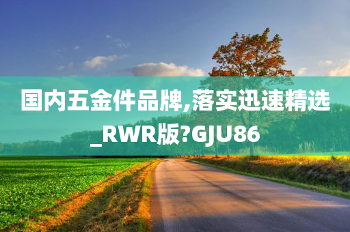 国内五金件品牌,落实迅速精选_RWR版?GJU86