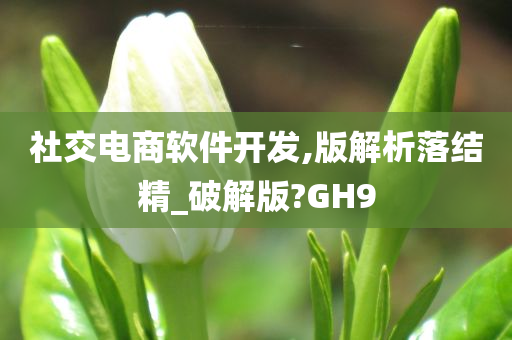 社交电商软件开发,版解析落结精_破解版?GH9