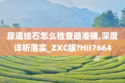 尿道结石怎么检查最准确,深度详析落实_ZXC版?HII7664