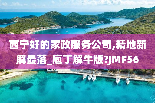 西宁好的家政服务公司,精地新解最落_庖丁解牛版?JMF56