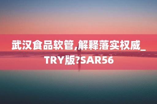 武汉食品软管,解释落实权威_TRY版?SAR56