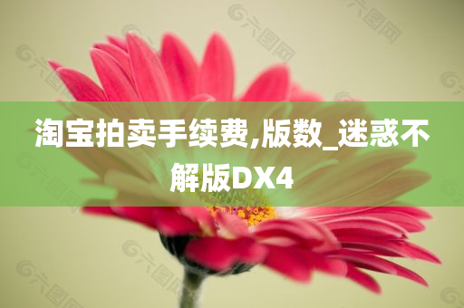 淘宝拍卖手续费,版数_迷惑不解版DX4