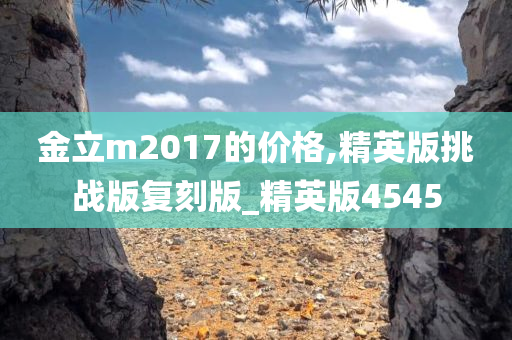 金立m2017的价格,精英版挑战版复刻版_精英版4545