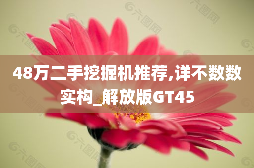 48万二手挖掘机推荐,详不数数实构_解放版GT45