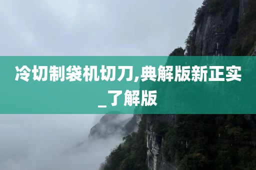 冷切制袋机切刀,典解版新正实_了解版